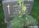 Bertha Johanna Fredriksdatter Myge*