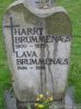 Harry Haavartsen Brummenæs* (I35638)