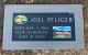 Joel Todd Pfliger