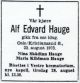 Alf Edvard Hauge
