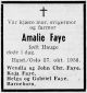 Obituary_Amalie_Johnsdatter_Hauge_1858_1