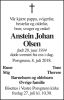 Anstein Johan Olsen