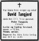 David Hansen Tangjerd*