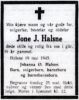 Johne Johnsen Halsne*