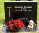 Gjertrud Stol