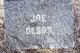 Joseph "Joe*" Olson