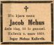 Jacob Eliassen Mehus*