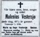 Malenius Aagesen Vestersjø*