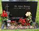 Ole Johan Mannes